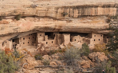 Ancient cliff dwellings nestled under a rocky overhang, surrounded by trees and shrubs in a desert landscape.