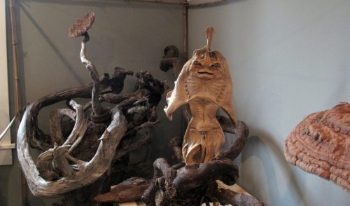 A wooden sculpture resembling a fish stands among twisted driftwood in a gallery setting.