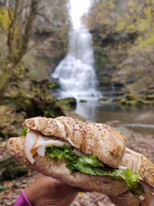 A hand holding a sandwich with lettuce and turkey in front of a scenic waterfall and autumn foliage.