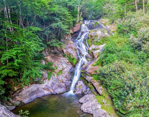 A serene waterfall cascading over rocky terrain, surrounded by lush green trees and foliage.