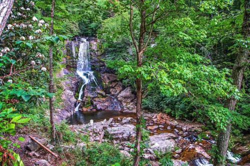 A serene waterfall cascades down rocky cliffs, surrounded by lush green trees and a tranquil pool below.