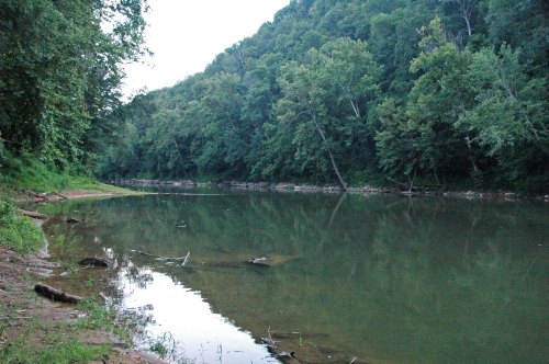 A serene river scene surrounded by lush green trees and a calm, reflective water surface.