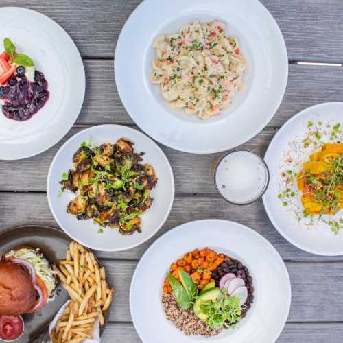 A variety of dishes including pasta, roasted vegetables, a burger, fries, and a colorful salad on a wooden table.