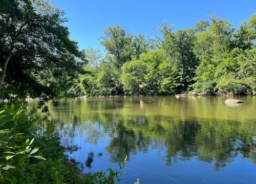 A serene river scene surrounded by lush green trees under a clear blue sky. Reflections shimmer on the water's surface.