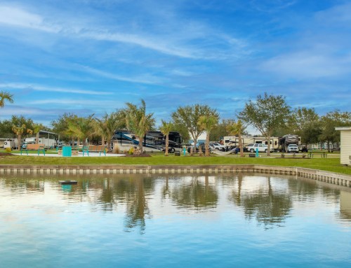 A serene RV park by a calm pond, with palm trees and blue skies reflecting in the water.