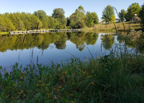 A serene pond reflecting trees and a wooden bridge, surrounded by lush greenery and wildflowers.