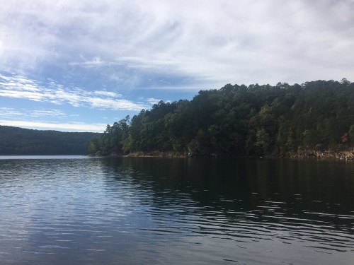 A serene lake surrounded by lush green trees under a partly cloudy sky. Reflections ripple on the water's surface.