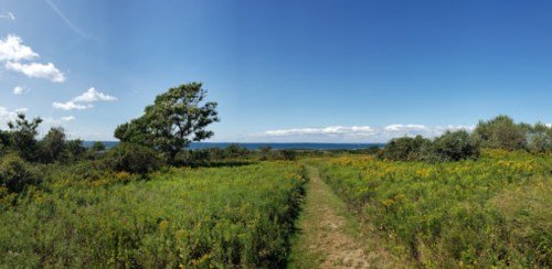 A panoramic view of a lush green field with wildflowers, leading to a serene ocean under a clear blue sky.
