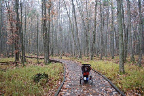 A stroller on a wooden path winding through a misty forest with autumn leaves scattered on the ground.
