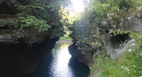 A serene river flows between two rocky cliffs, surrounded by lush greenery and wildflowers.