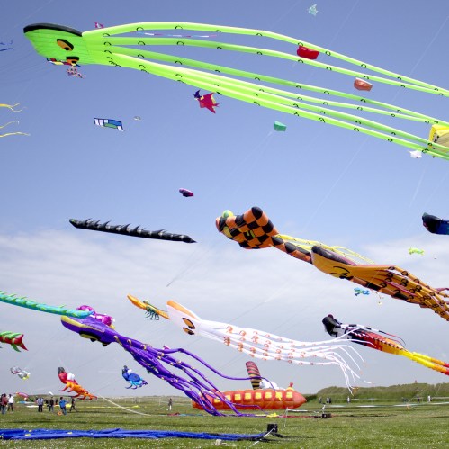 Colorful kites of various shapes and sizes flying against a blue sky at a kite festival.
