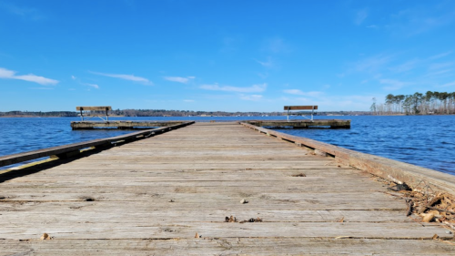 A wooden dock extends into a calm lake under a clear blue sky, with two benches at the end.