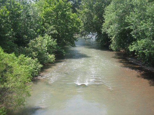 A serene river flows through a lush green landscape, surrounded by trees and foliage.