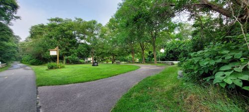 A peaceful park scene with a winding path, green grass, trees, and benches surrounded by lush foliage.