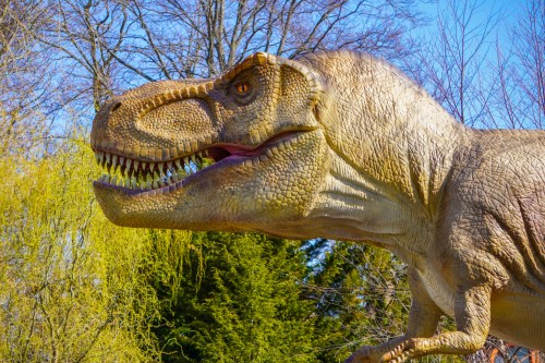 A close-up of a dinosaur statue, featuring a T. rex with sharp teeth and detailed scales against a blue sky.