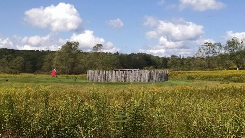 A wooden stockade surrounded by tall grass and wildflowers, set against a backdrop of trees and a blue sky with clouds.