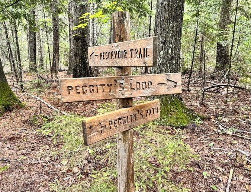 Wooden signpost in a forest with arrows pointing to "Reservoir Trail," "Peggitty's Loop," and "Peggitty's Path."