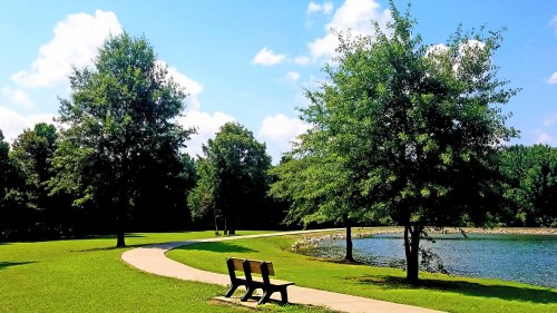 A serene park scene featuring a winding path, two benches, and lush trees beside a calm lake under a blue sky.