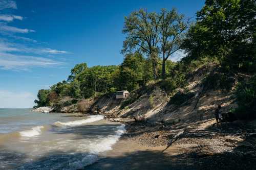 A serene beach scene with gentle waves, trees, and a small cabin on a sandy shore under a clear blue sky.