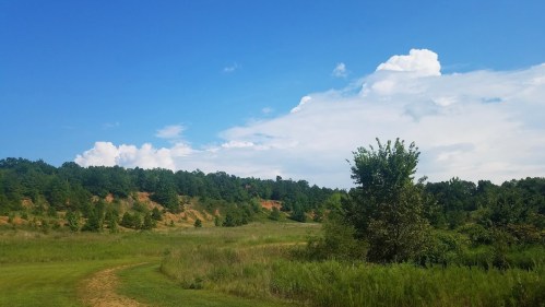 A scenic landscape featuring green fields, a tree, and a blue sky with fluffy clouds above a wooded hillside.