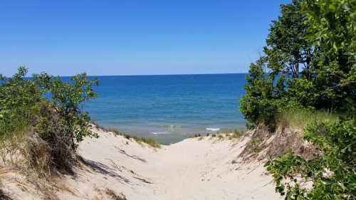 A sandy dune leads to a calm blue lake under a clear sky, framed by green trees on either side.