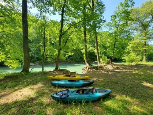 Three kayaks in vibrant colors rest on a grassy bank by a serene, green river surrounded by lush trees.