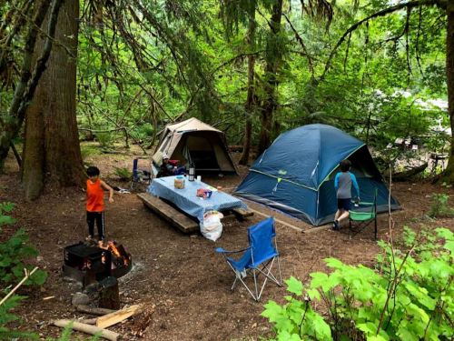 A campsite in a forest with two tents, a picnic table, and a campfire, surrounded by trees and greenery.