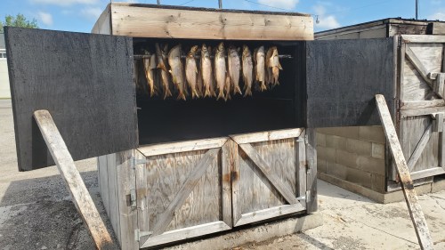 A wooden smokehouse with two open doors, displaying several fish hanging inside.