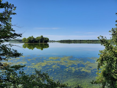 A serene lake scene with clear blue skies, lush greenery, and reflections on the water's surface.