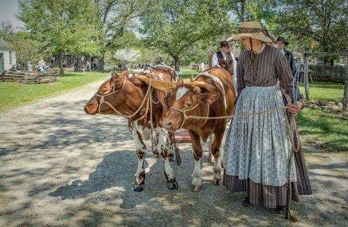 A woman in a long dress guides two brown and white cows along a dirt path in a rural setting.