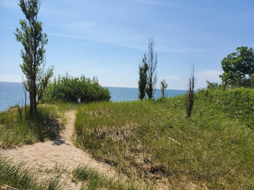 A sandy path leads through tall grass to a serene lake view under a clear blue sky.