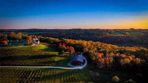 Aerial view of a scenic landscape with vineyards, a barn, and colorful autumn trees under a clear blue sky.