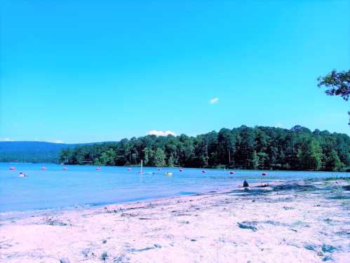 A serene lake scene with a sandy shore, surrounded by trees and colorful boats floating on the water under a clear blue sky.