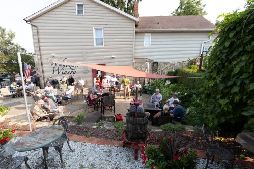 A lively outdoor gathering at a winery, with people seated at tables among greenery and a shaded area.