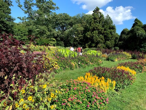 Two people walk through a vibrant flower garden filled with colorful blooms under a clear blue sky.