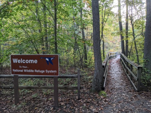 A wooden path leads into a forest, with a sign welcoming visitors to the National Wildlife Refuge System.