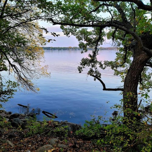 A tranquil lake scene framed by trees, with calm water reflecting the sky and autumn foliage.