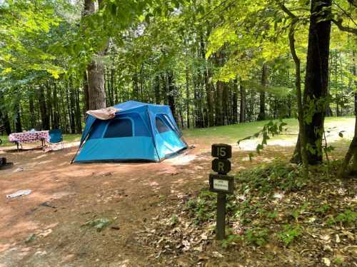 A blue tent set up in a wooded campsite, with a picnic table nearby and a sign indicating site number 15.