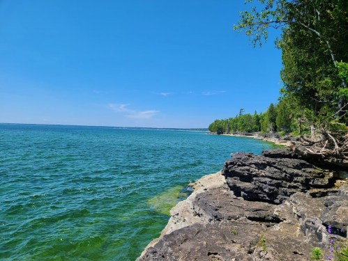 A serene lakeside view with clear blue water, rocky shore, and lush green trees under a bright blue sky.