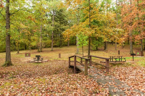 A serene park scene with picnic tables surrounded by colorful autumn foliage and fallen leaves.