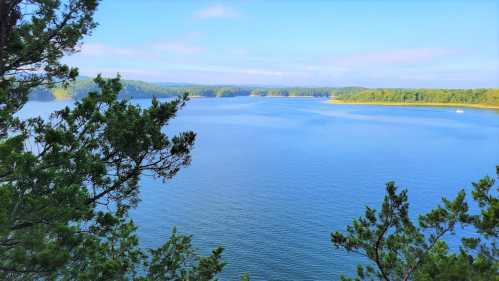 A serene lake surrounded by lush greenery under a clear blue sky.