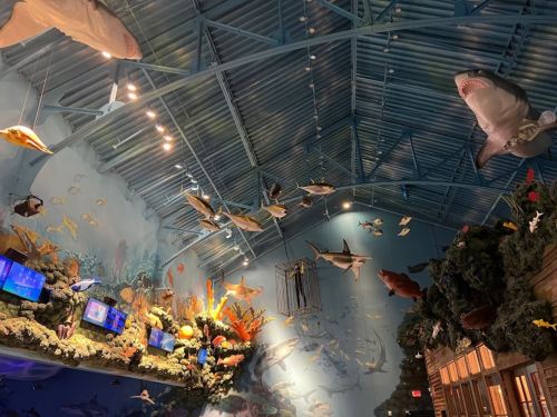 A vibrant aquarium interior with a high ceiling, featuring various fish and sharks suspended above colorful coral displays.