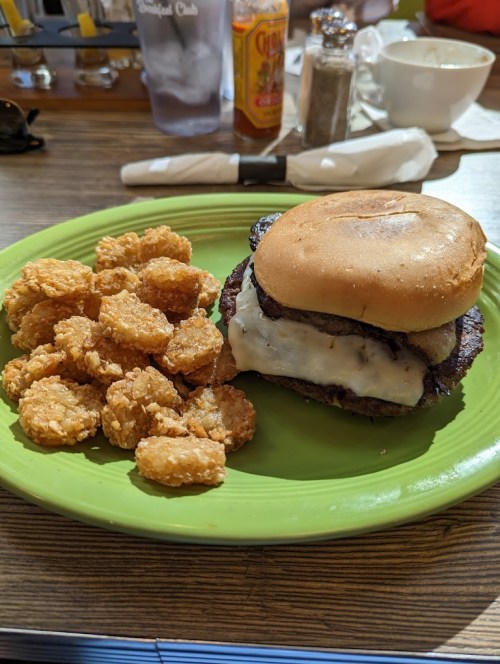 A plate with a burger topped with cheese and a toasted bun, accompanied by a side of golden tater tots.