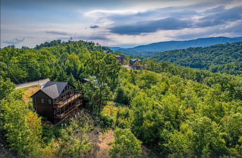 Aerial view of a wooden house surrounded by lush green trees and rolling hills under a cloudy sky.