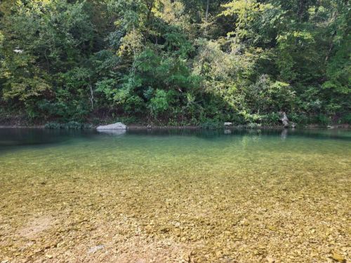 A serene river scene with clear water and a rocky bottom, surrounded by lush green trees and foliage.