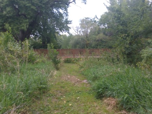 A grassy path leads to a wooden bridge surrounded by trees and dense foliage.