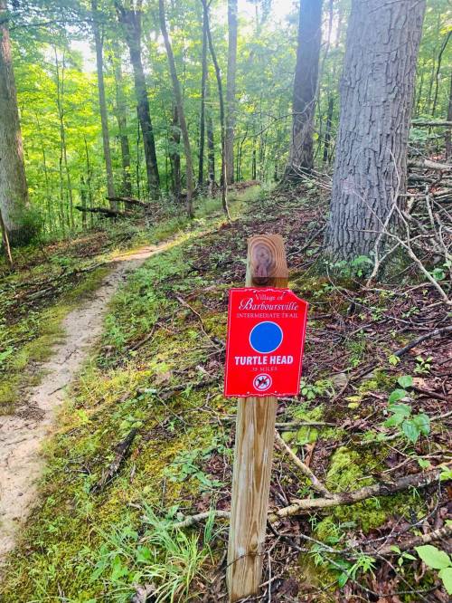 A red sign labeled "Turtle Head" stands on a wooded trail surrounded by trees and underbrush.
