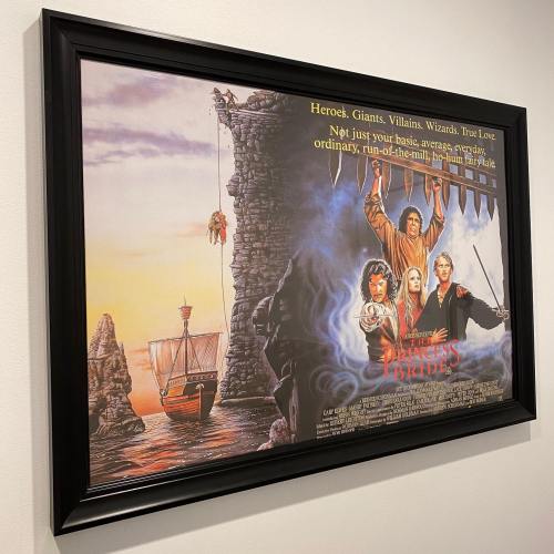 A framed poster of "The Princess Bride," featuring characters and a ship against a scenic backdrop.