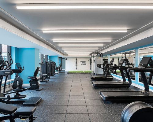 A modern gym with exercise equipment, including treadmills and weights, under bright lighting and blue walls.