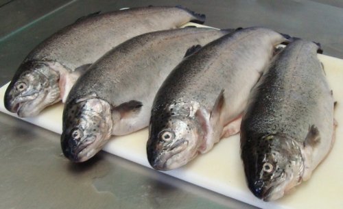 Four whole fish laid out on a cutting board, showcasing their shiny scales and distinct features.